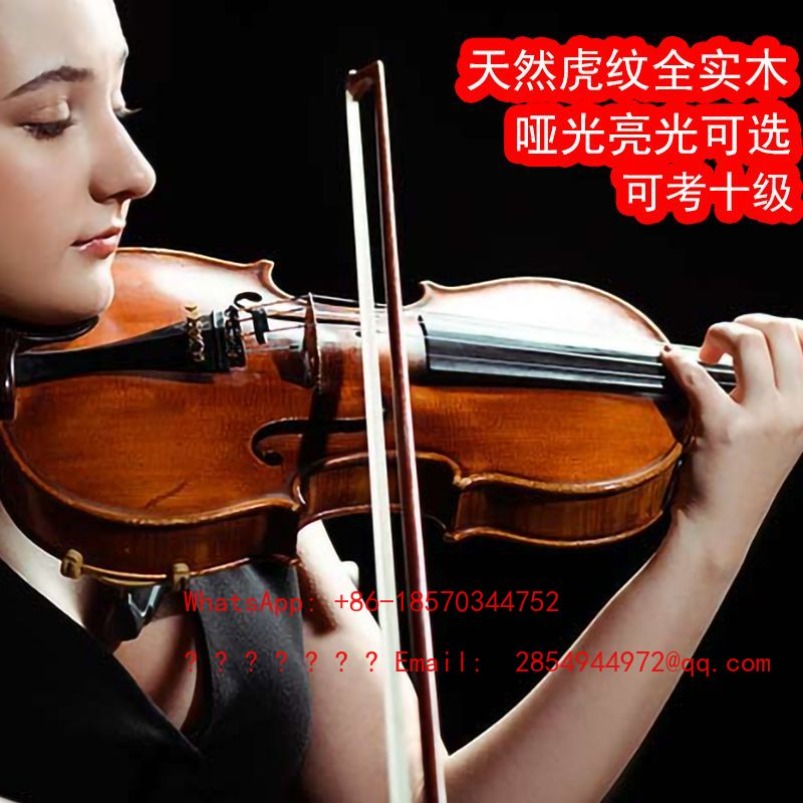 Musical Instrument Net - Violon professionnel de qualité supérieure, instrument