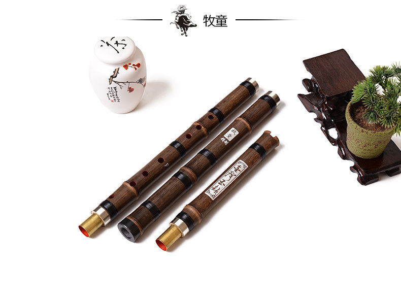 Flûte en bambou chinois Xiao,  - Musical Instrument Xiao avis et prix