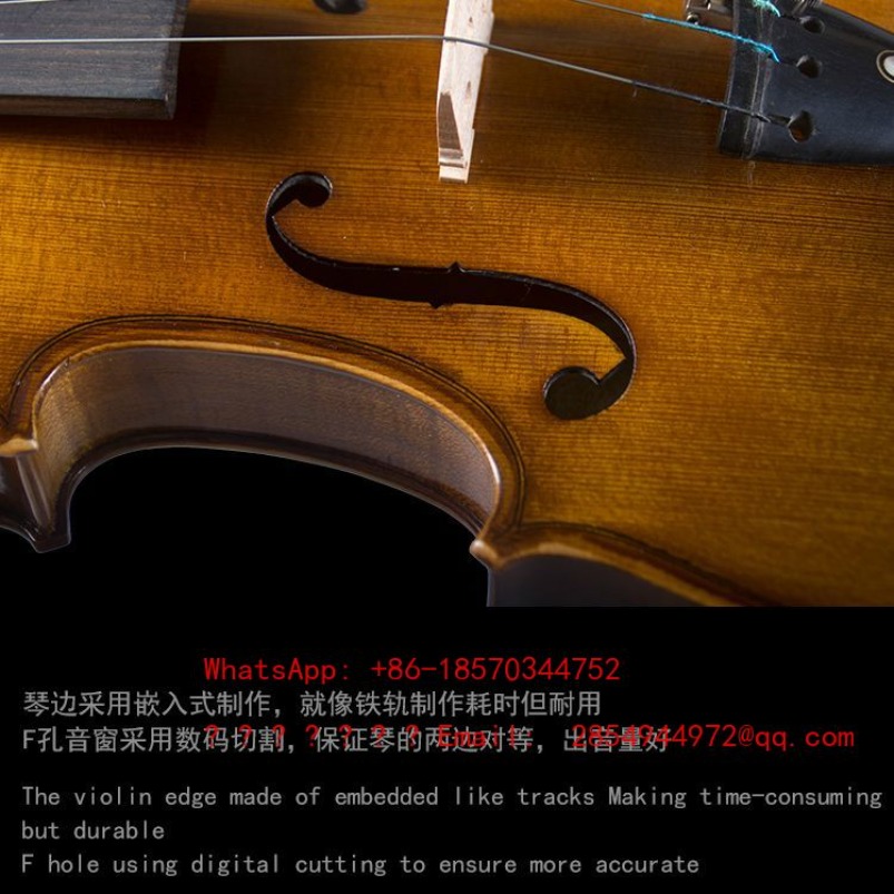 Violon professionnel de qualit - Musical Instrument Net avis et prix