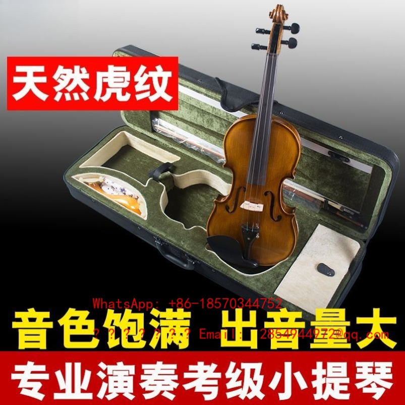 Violon professionnel de qualit - Musical Instrument Net avis et prix