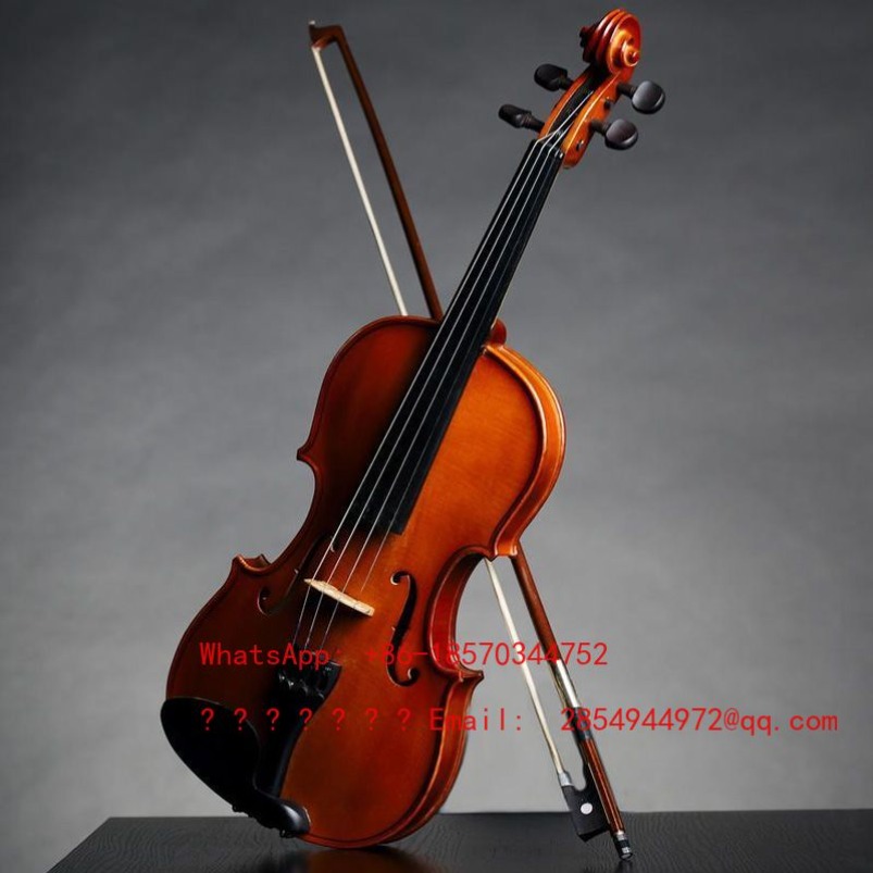 Violon professionnel de qualit - Musical Instrument Net avis et prix