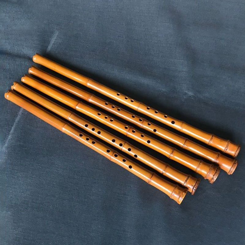 8 trous bambou Xiao Performanc - Musical Instrument In Chinese avis et prix