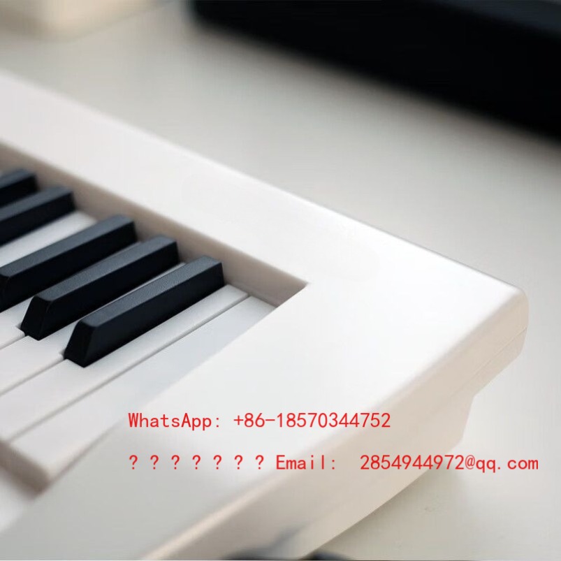 Orgue électronique pour person - Musical Instrument Net avis et prix